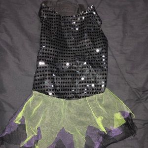 Witch costume Dog dress